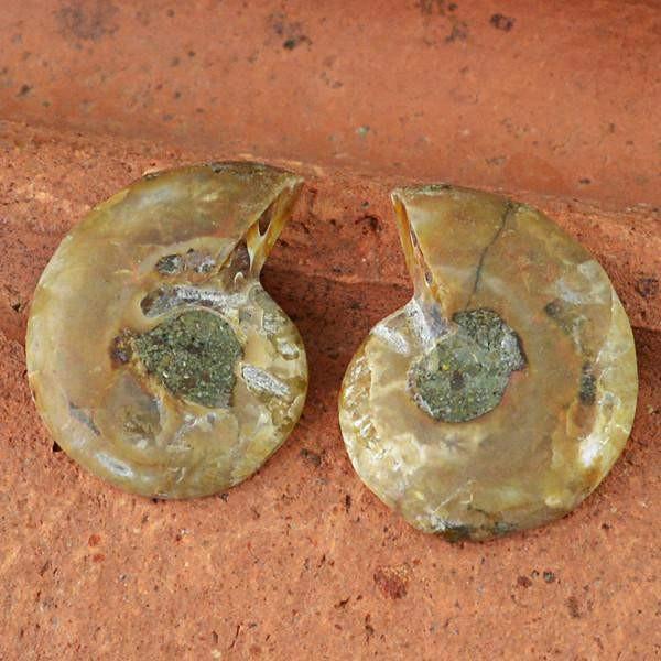 gemsmore:Natural Ammonite Gemstone Pair