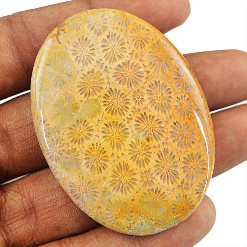 gemsmore:Natural Coral Fossil Oval Shape Loose Gemstone