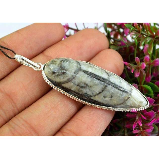 gemsmore:Natural Orthoceras Fossil Pendant