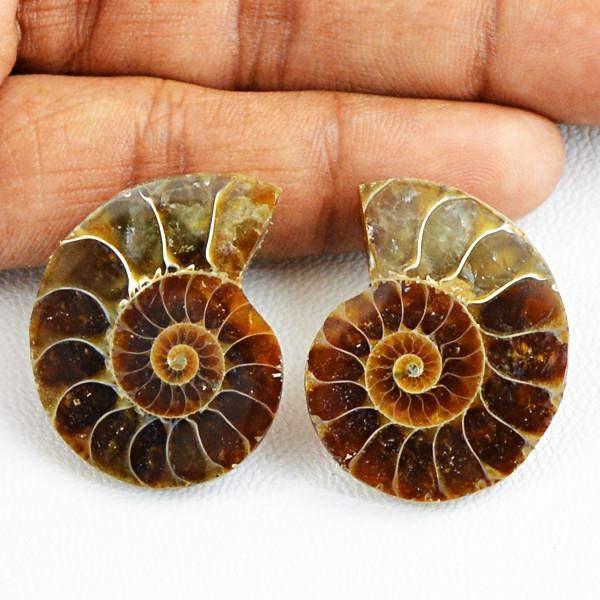 gemsmore:Natural Untreated Ammonite Gems Pair