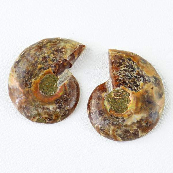 gemsmore:Natural Untreated Ammonite Gemstone Pair