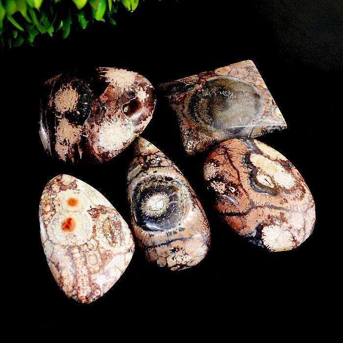 gemsmore:Natural Untreated Crazy Lace Agate Loose Gemstone Lot